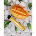 Maskking 2ml Ejuice Mini Engångsskydd Vape